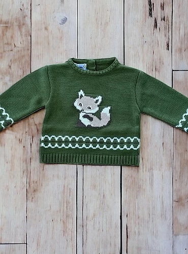 Boys' sweater Raposa Collection