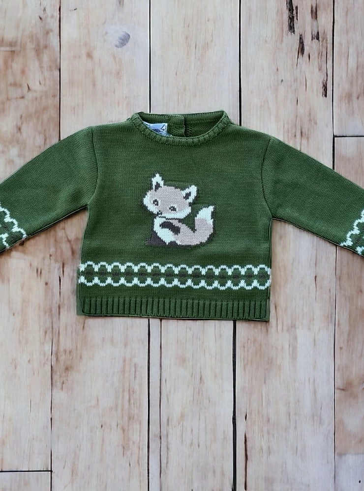 Boys' sweater Raposa Collection