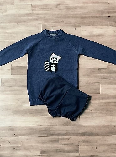 Sweater and panties for boys from the Mon Petit Raccoon Collection