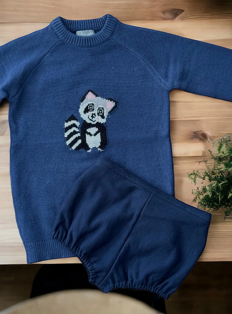 Sweater and panties for boys from the Mon Petit Raccoon Collection